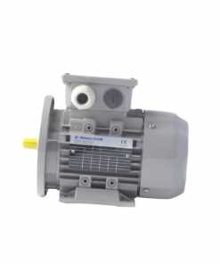 IE2AC06A2001 Motor AC-Motoren