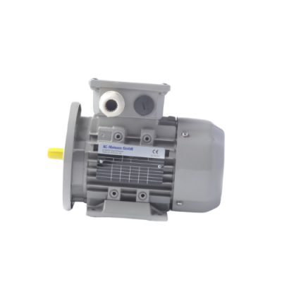 IE2AC06A2001 Motor AC-Motoren