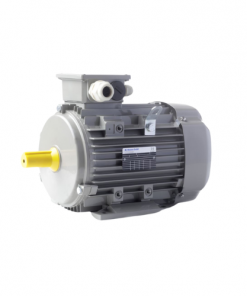 IE3AC09L4008N Motor AC-Motoren