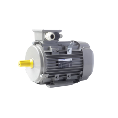 IE3AC09L4008N Motor AC-Motoren