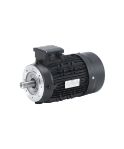 HMA3-100L1-4 Motor Hoyer motor Vietnam