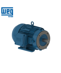 11815900 Motor WEG Vietnam