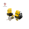 DC8245259SR MOTOR ZU4 230V KIT Enerpac Vietnam
