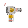DEX-P2EN Concentration-measuring gas detectors GAZEX Sp.j. Vietnam