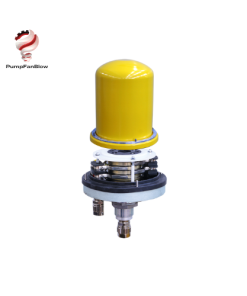 GPMRV2T20 Sliprings Ravioli Vietnam