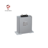 BSMJ0.75-100-1 Power Capacitor LONGKUI Vietnam