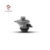 FMF301500003AD Regulator Pietro Fiorentini VietNam