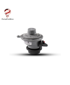 FMF301500003AD Regulator Pietro Fiorentini VietNam