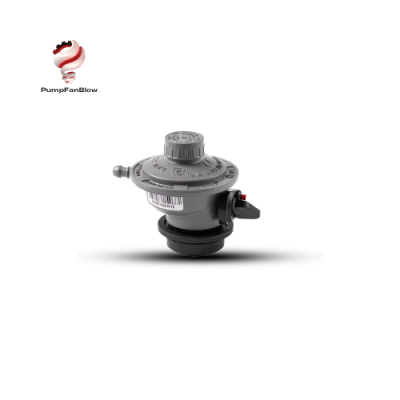 FMF301500003AD Regulator Pietro Fiorentini VietNam